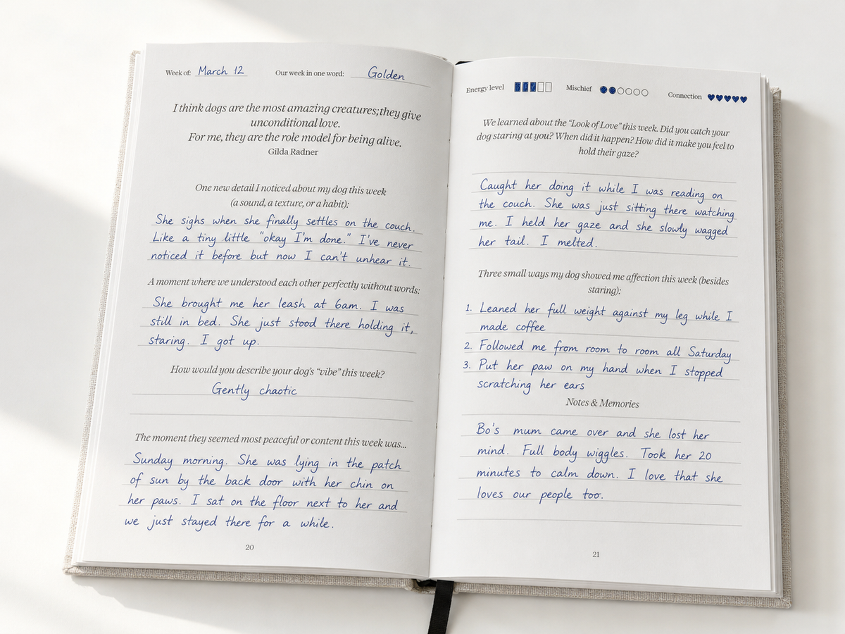 The Story of Us Journal
