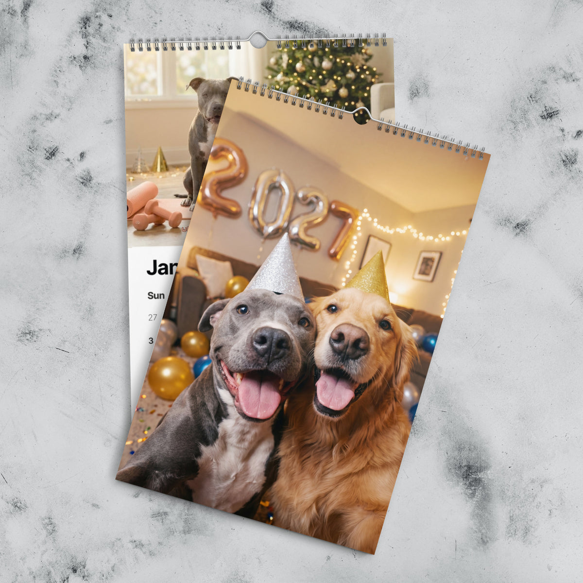 2027 Chuck & Barry Wall Calendar