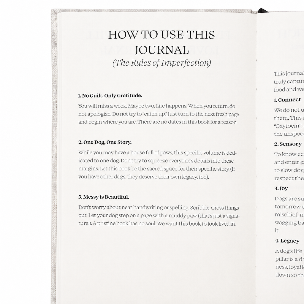 The Story of Us Journal