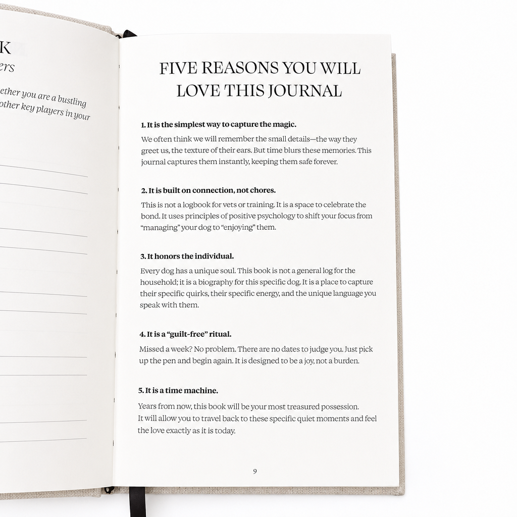 Card Deck & Journal Bundle