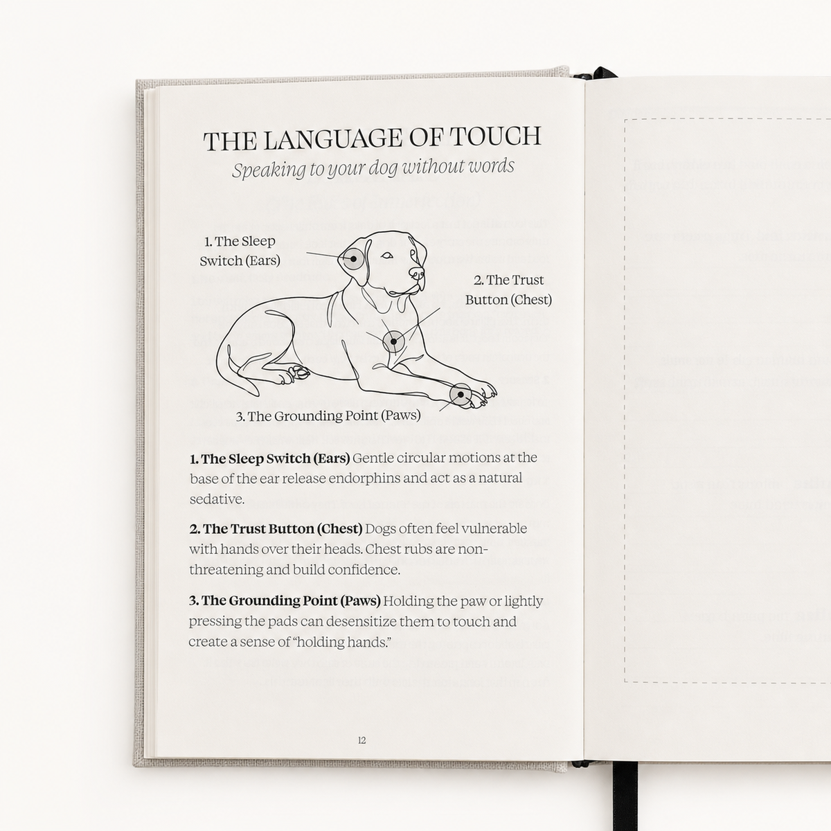 The Story of Us Journal