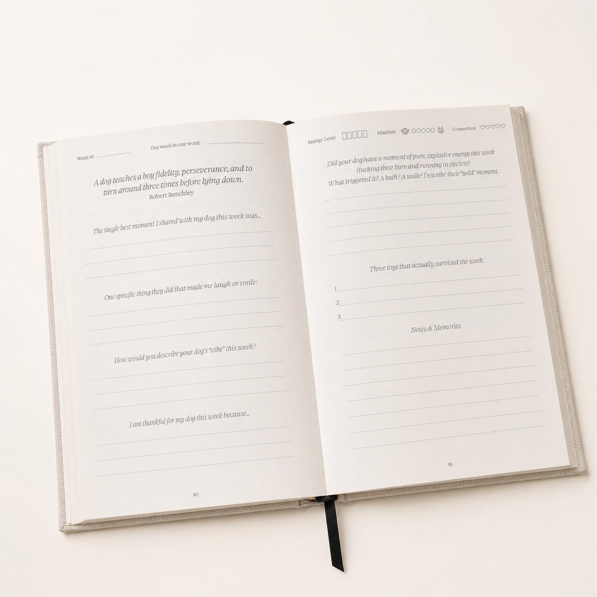 The Story of Us Journal