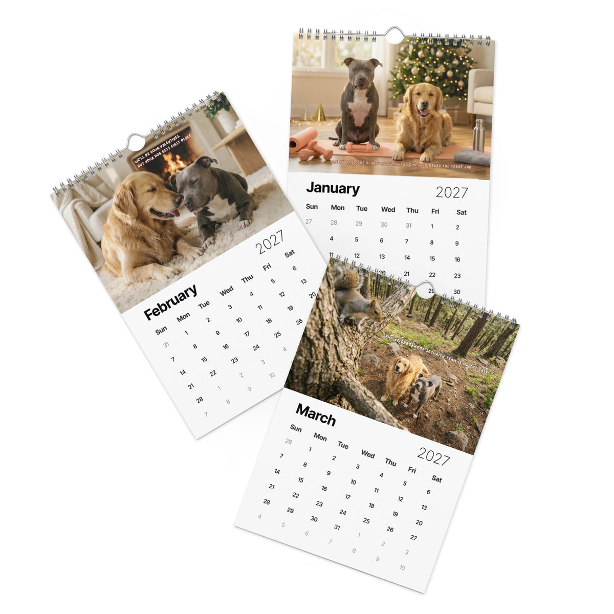 2027 Chuck & Barry Wall Calendar